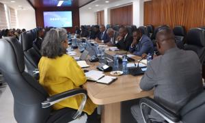 Consultative meeting for the Green Buildings Standards Development Project
